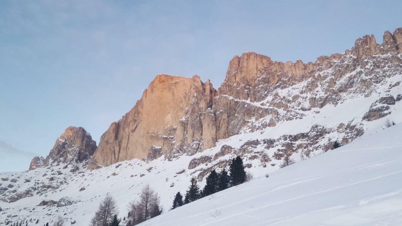 Residence Grand Hotel Carezza ノーヴァ・レヴァンテ エクステリア 写真